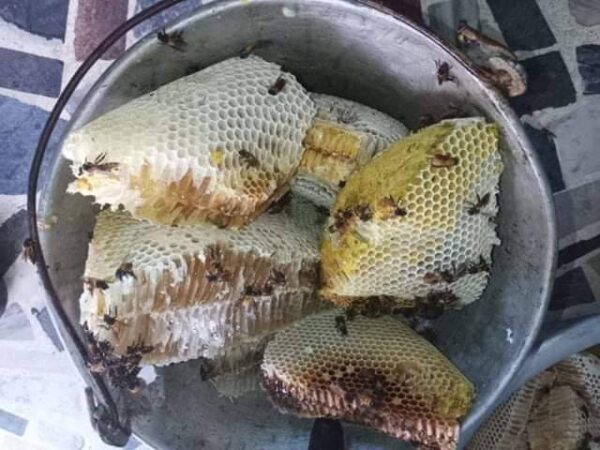 প্রাকৃতিক মধু (চাক সহ) ৫০০ গ্রাম - Image 2
