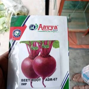 🔥বিটরুট বীজ -১০ গ্রাম (প্যাকেট) -ফ্রি হোম ডেলিভারি)