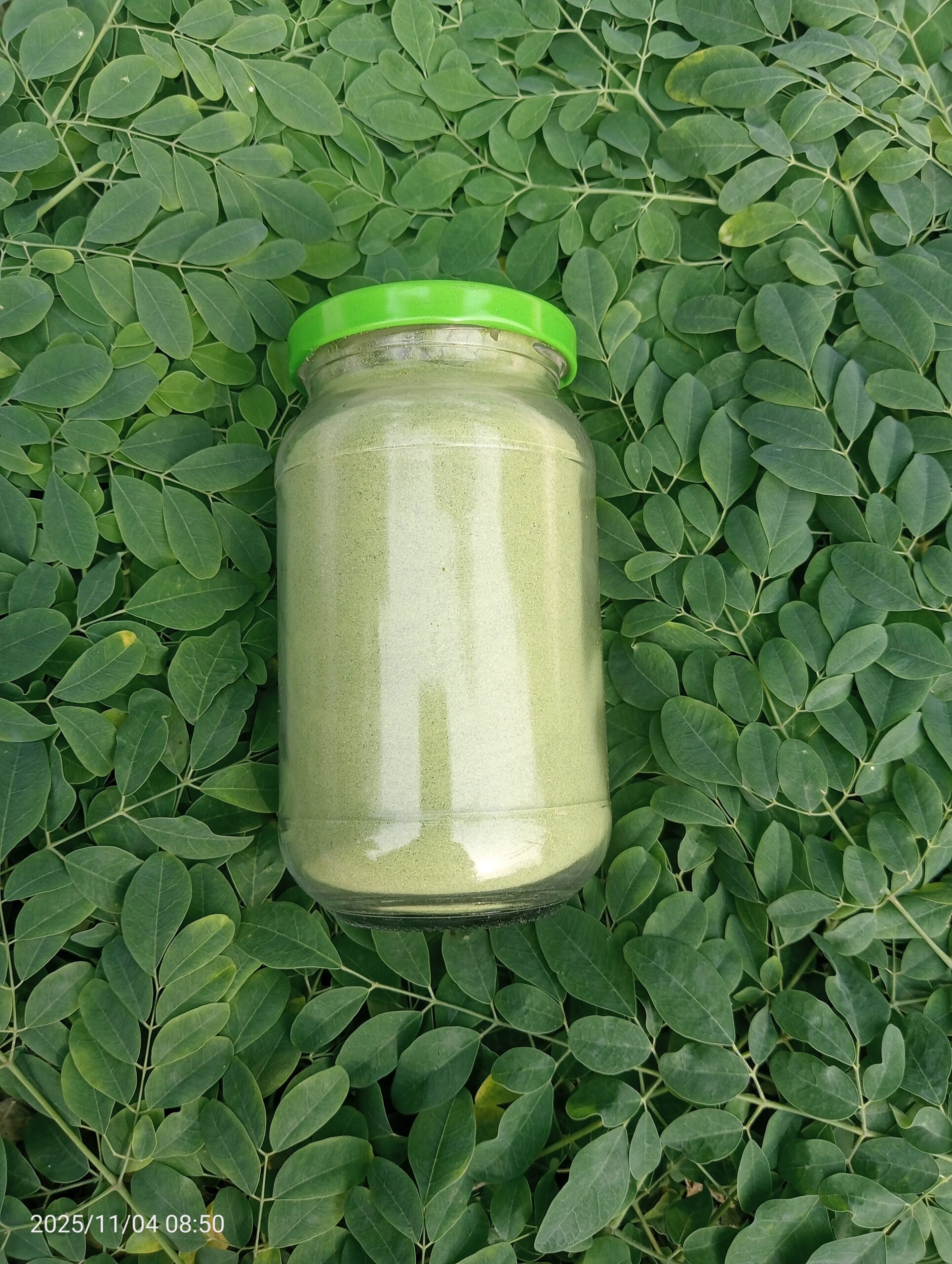 মরিঙ্গা/সজিনা পাতা গুড়া -২০০ গ্রাম (হোম ডেলিভারি ফ্রি) - Image 3